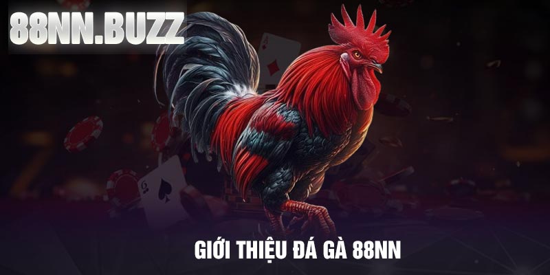 Giới thiệu đá gà 88NN